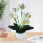 50 PCS Seeds tulip Bonsai Flowers Wedding Home Decorative Flowers
