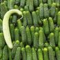 50 PCS Seeds Turkey Giant Cucumber