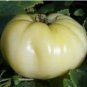 100 PCS Seeds Ukraine Purely White Giant Tomato Organic