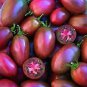 100 PCS Seeds Ukrainian Purple Tomato