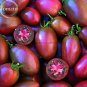 100 PCS Seeds Ukranian Purple Cherry Tomato
