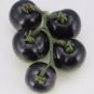 100 PCS Seeds USA Organic Indigo Rose Blue Tomato