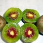 50 PCS Seeds Variery Mini Large Kiwi Fruit Heirloom Chinese Gooseberry Fruit