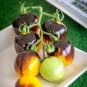 100 PCS Seeds Very Rare Bumble Bee Heirloom Tomato