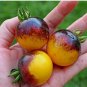 100 PCS Seeds Very Rare Bumble Bee Heirloom Tomato