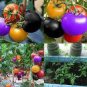 100 PCS Seeds very rare imported rainbow tomato