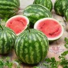 20 PCS Seeds Very Sweet Big Round Red Watermelon Tree