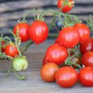 35 PCS Seeds Very Sweet Red Cherry Tomato