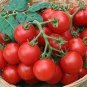 10 PCS Seeds Very Sweet Red Cherry Tomato 'Hong Gu Niang' Organic