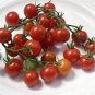 10 PCS Seeds Very Sweet Red Cherry Tomato 'Hong Gu Niang' Organic