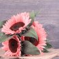 100 PCS Seeds Water Pink Sunflower