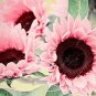 100 PCS Seeds Water Pink Sunflower