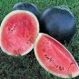 22 PCS Seeds Watermelom Black Skin Fresh Red Inside Big Melon