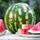 6 PCS Seeds Watermelon Dark Green Stripe Red Inside Fruit 6 PCS Seeds Watermelon Dark Green Stripe Red Inside Fruit