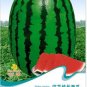 6 PCS Seeds Watermelon Dark Green Stripe Red Inside Fruit