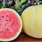 20 PCS Seeds Watermelon 'Gift of the Sun' Yellow Skin Red Inside Fruit