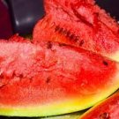6 PCS Seeds Watermelon Light Green Stripe Red Inside Fruit
