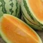 20 PCS Seeds Watermelon Orange Rare Organic Fruit