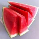 20 PCS Seeds Watermelon Seedless Pinkish Red Melon