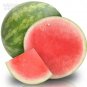 20 PCS Seeds Watermelon Seedless Pinkish Red Melon