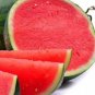 20 PCS Seeds Watermelon Seedless Pinkish Red Melon