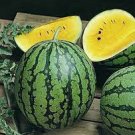 10 PCS Seeds Watermelon Seeds Crimson Sweet Non gmo Heirloom