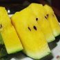 10 PCS Seeds Watermelon Seeds Crimson Sweet Non gmo Heirloom