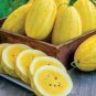 100 PCS Seeds Watermelon Seeds Yellow Skin Yellow Inside