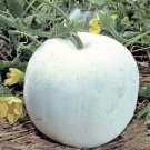 10 PCS Seeds Wax Gourd Small Round White Gourd Vegetable 10 PCS Seeds Wax Gourd Small Round White Gourd Vegetable