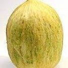 12 PCS Seeds Watkins Melon Stir