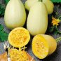 12 PCS Seeds Watkins Melon Stir