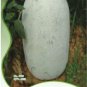 12 PCS Seeds Wax Gourd White Skin Fuzzy Winter MelonWhite Ash Benincasa Hispida