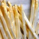 20 PCS Seeds White Asparagus 20 PCS Seeds White Asparagus