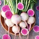 12 PCS Seeds White Asparagus Seeds Watermelon Pitaya Bell Pepper Flowers 12 PCS Seeds White Asparagus Seeds Watermelon Pitaya Bell Pepper Flowers