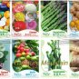 12 PCS Seeds White Asparagus Seeds Watermelon Pitaya Bell Pepper Flowers