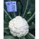 60 PCS Seeds White Cauliflower Vegetable Bonsai
