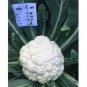 60 PCS Seeds White Cauliflower Vegetable Bonsai