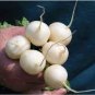 3 PCS Seeds White Cherry Belle Radish Chinese Organic Vegetable