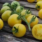100 PCS Seeds White Cherry Non-GMO, Organic Fruit