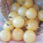 100 PCS Seeds White Cherry Non-GMO, Organic Fruit