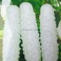20 PCS Seeds White Cucumber Cucumis Sativus