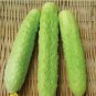 20 PCS Seeds White Cucumbers Heirloom