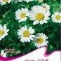 50 PCS Seeds White DAISY Chrysanthemum Multicaule Mini Marguerite Flower