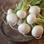 100 PCS Seeds White Egg Snowball Turnip, organic Chinese vegetables