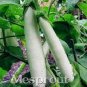 50 PCS Seeds White Eggplant Seeds Aubergine Solanum Melongena Vegetables
