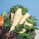 100 PCS Seeds White Gem Parsnip Carrot Vegetables