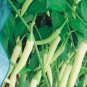 20 PCS Seeds White Hot Chili Pepper Seed Non-gmo Organic Heirloom Vegetables