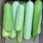 8 PCS Seeds White Jade Luffa Organic Vegetables