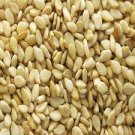 60 PCS Seeds White Sesame Gingili 60 PCS Seeds White Sesame Gingili