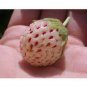 100 PCS Seeds White Strawberry The Hottest Fruits in Japan